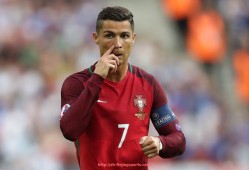 飞鲸体育直播-从全球市场看世俱杯球衣生产厂家格局与优势对比