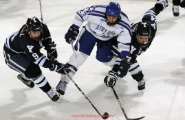 飞鲸体育直播-火箭队今日比赛得分汇总及关键球员数据